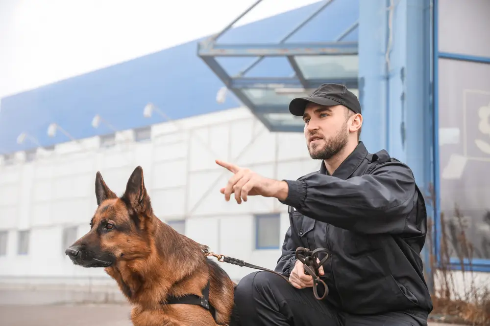 mobile securit patrol officer keeping parking lot safe with a guard dog
