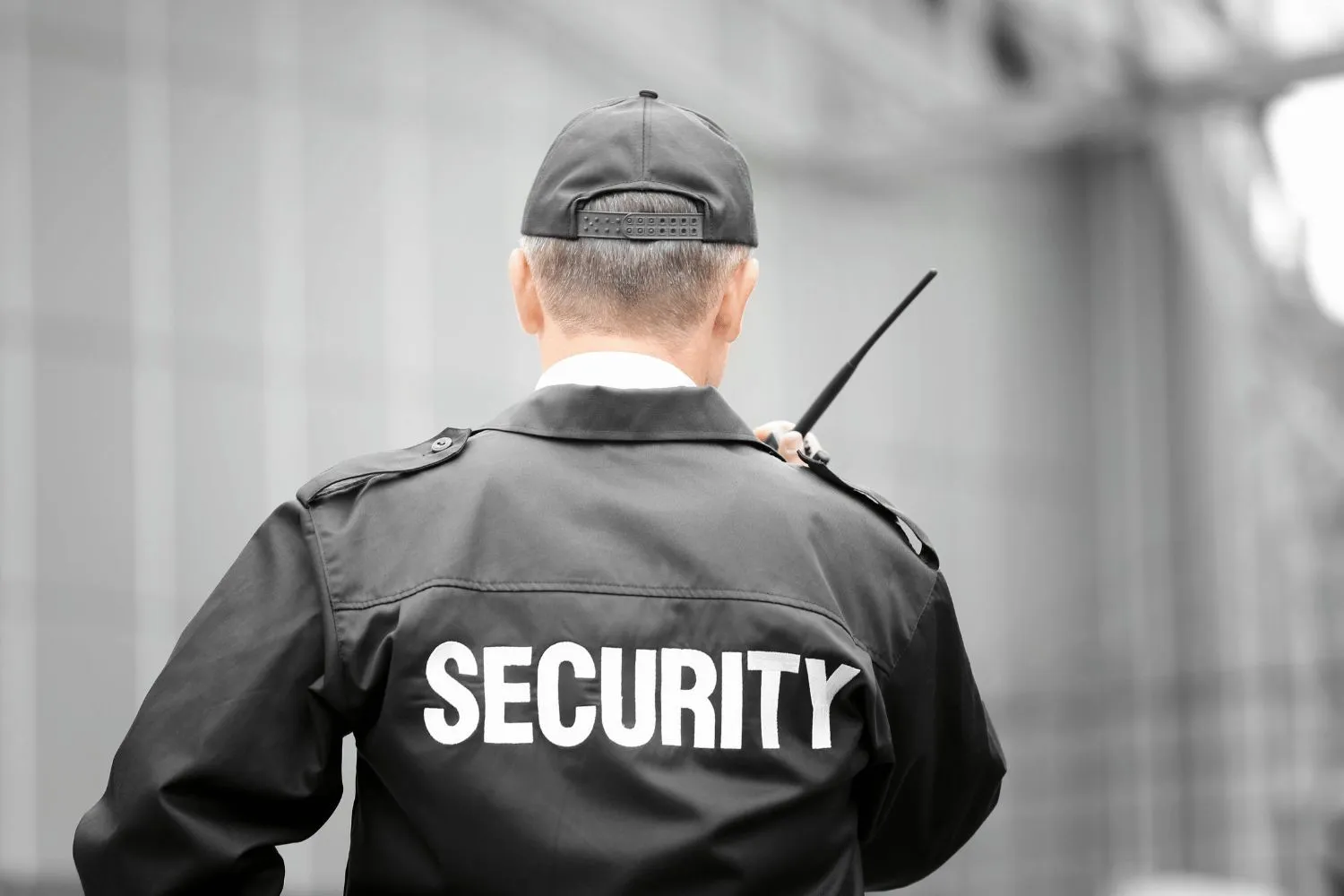 Security Service (2)