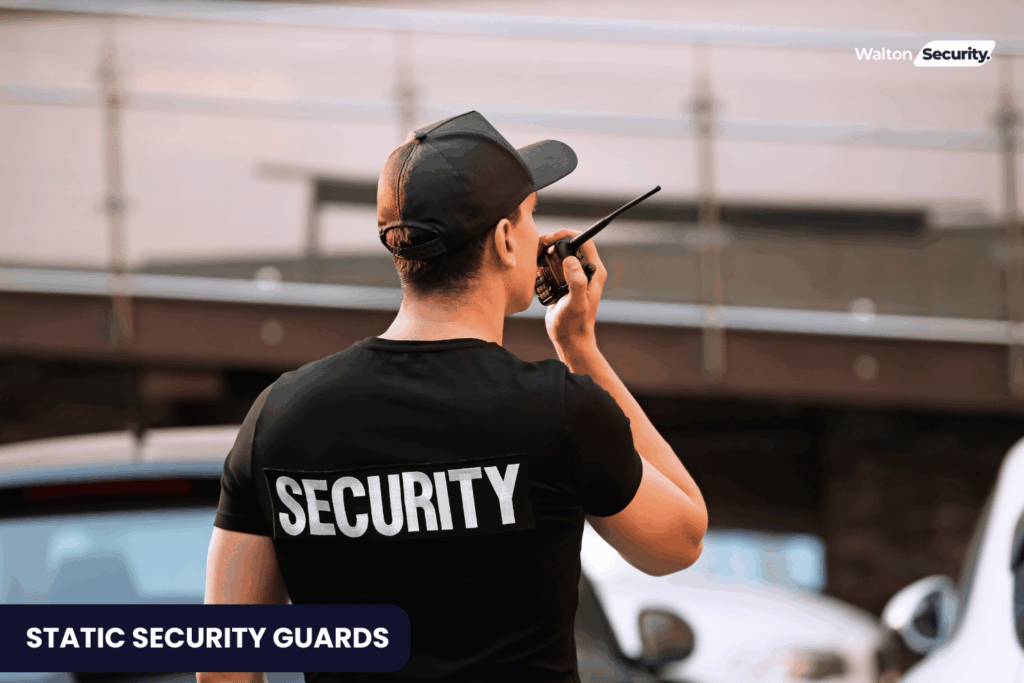Static Security Guards
